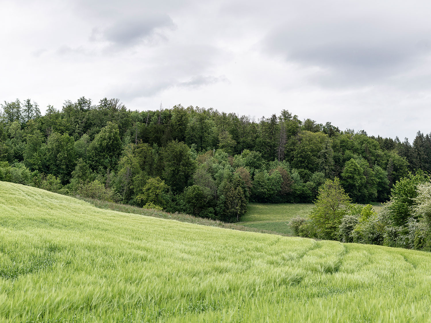 Ganzheitlich natürlich