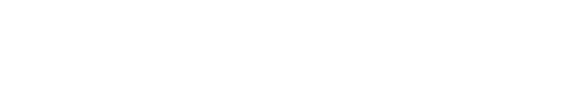 Logo Bracher & Partner Recht AG