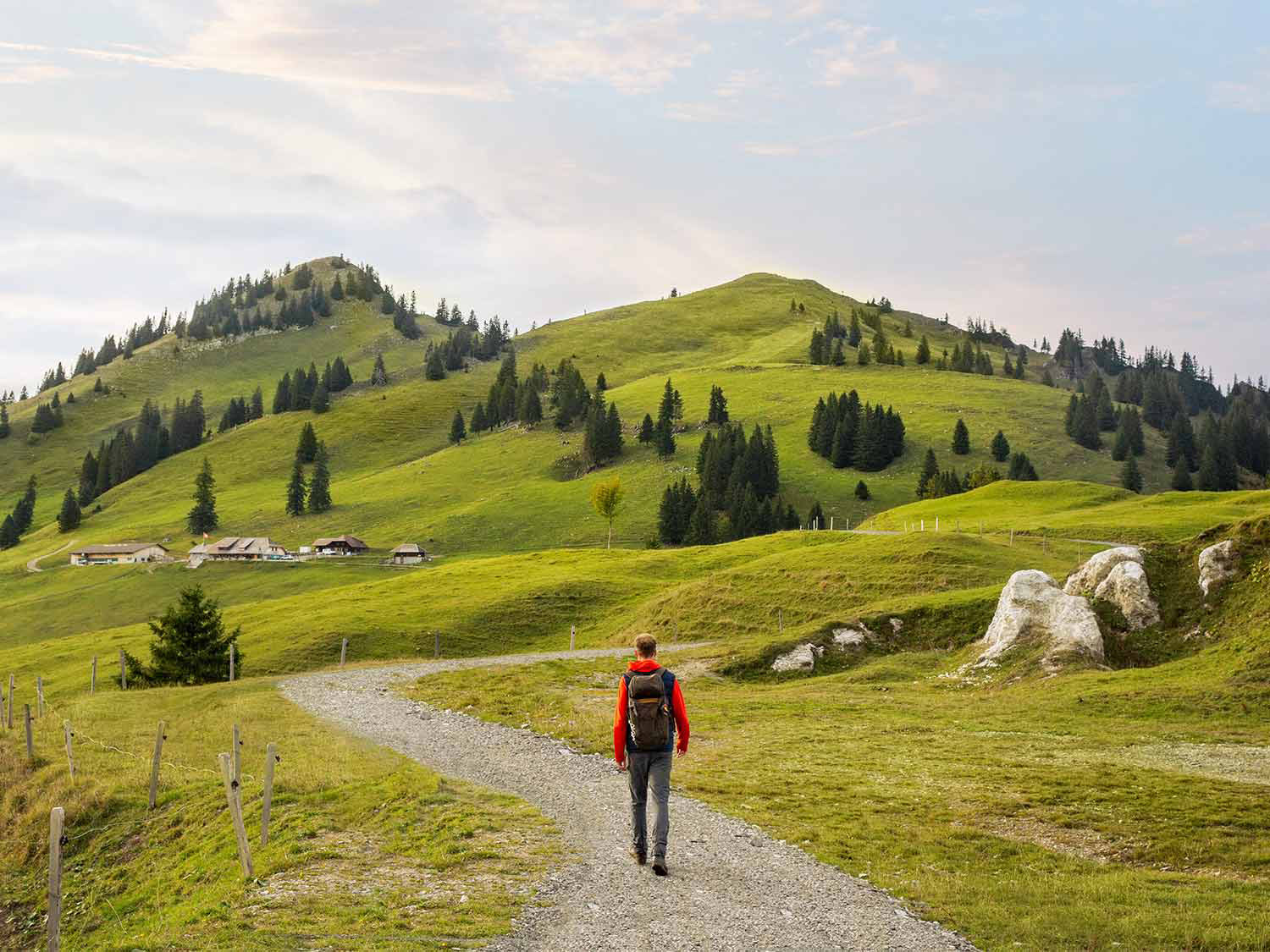 Kompetenz visualisieren