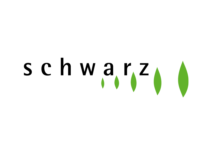 Logo Max Schwarz AG