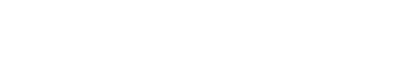 Logo Bracher & Partner